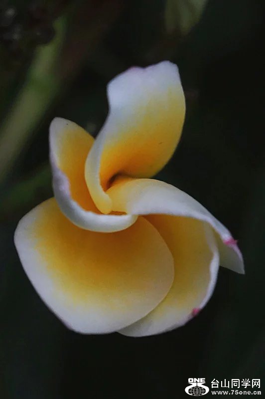psb (15).jpg