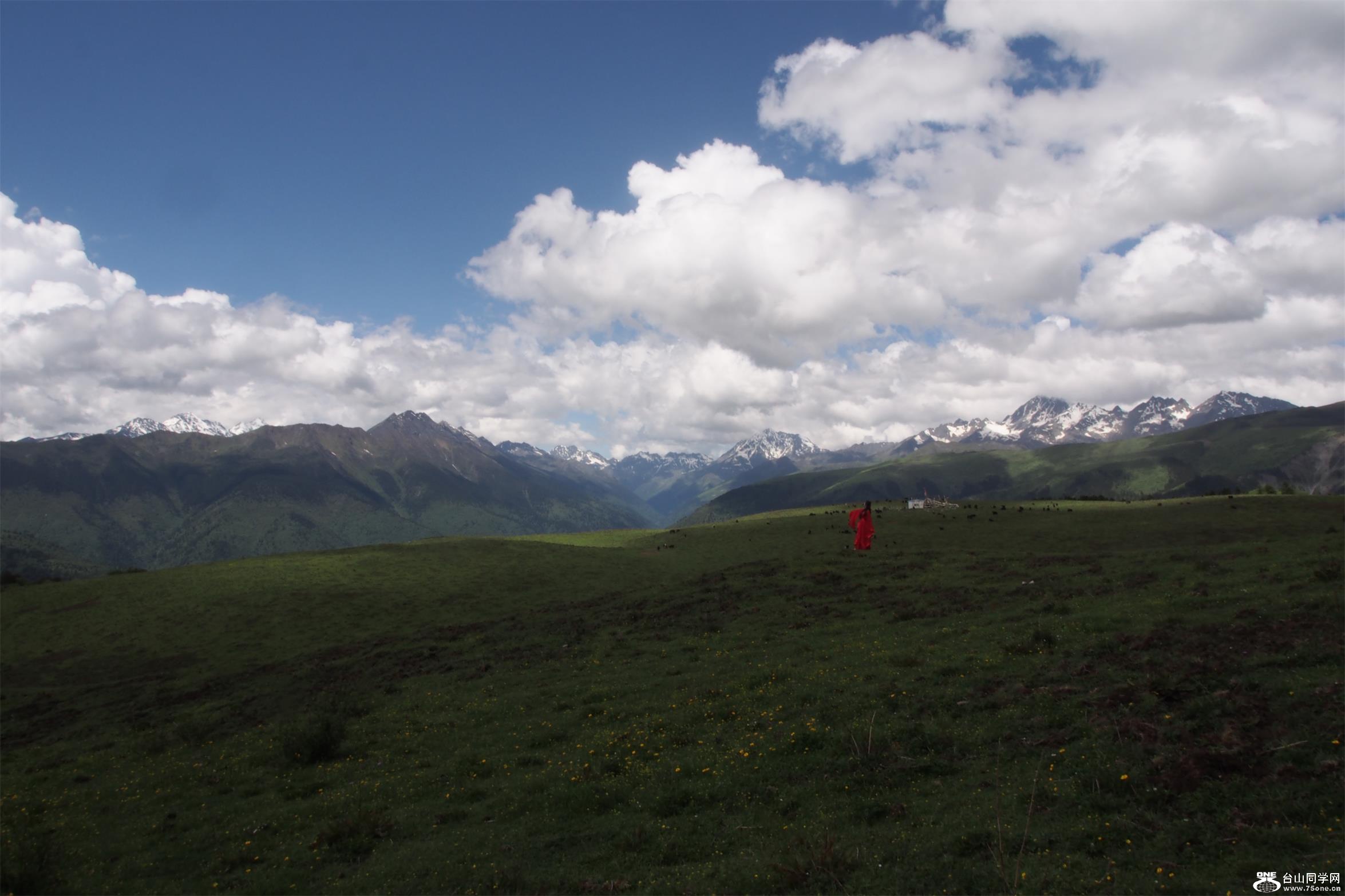 h6007.jpg