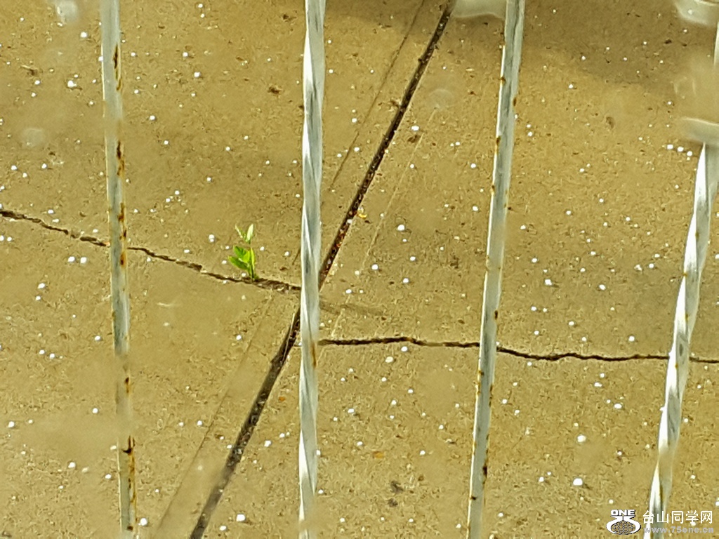 20160703_190356.jpg