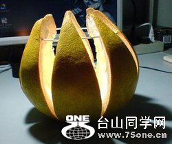 t019f9649def8eac35b.jpg