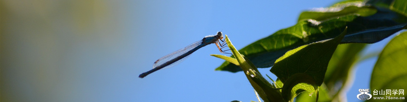 DSC_1616_25.jpg