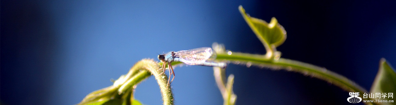 DSC_1690_15.jpg