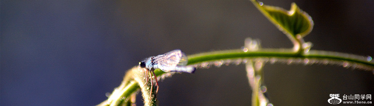 DSC_1704_14.jpg