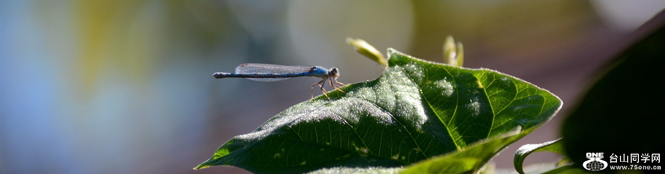 DSC_1628_23.jpg