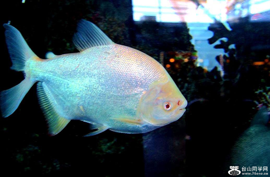 IMG_4901.JPG