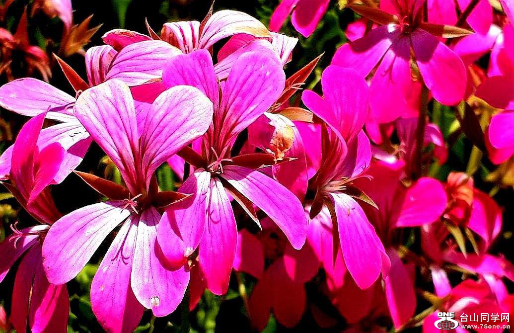 20160515_130049.jpg