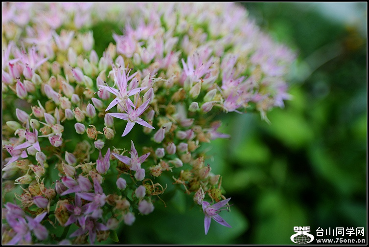 DSC_9076.JPG