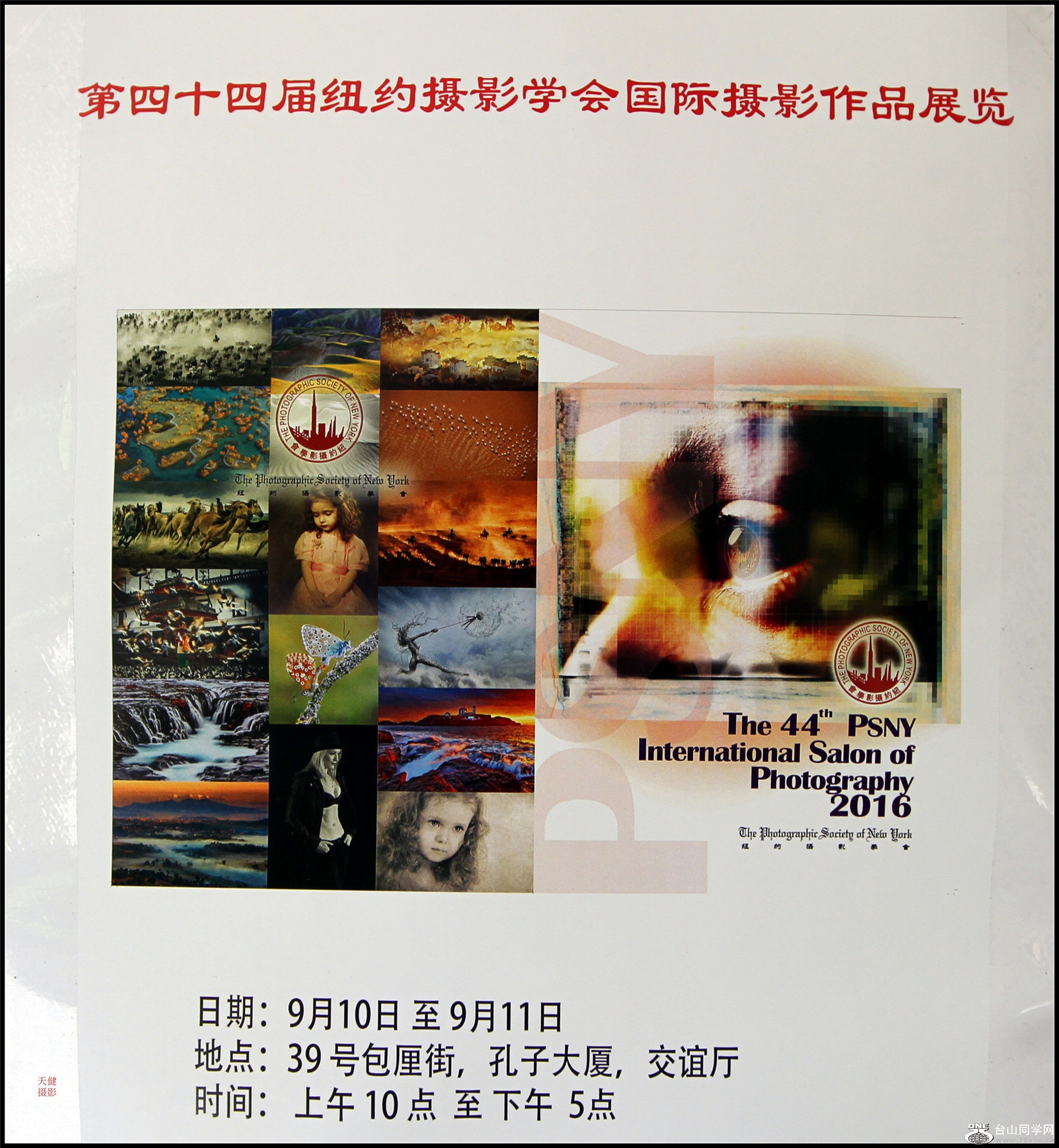 IMGL5984.jpg