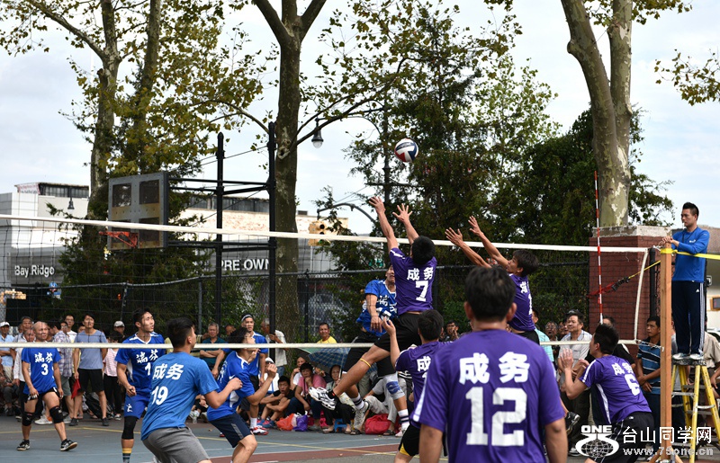 DSC_3942.JPG