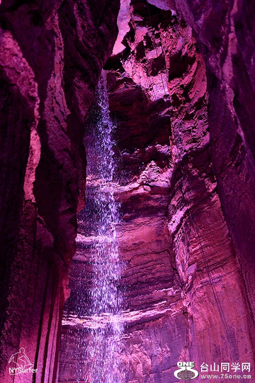 DSC_6851.jpg
