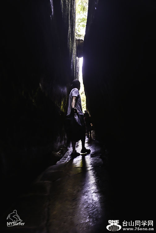 DSC_8131.jpg