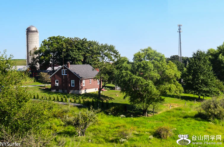 DSC_7409.jpg