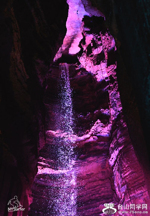 DSC_6856.jpg