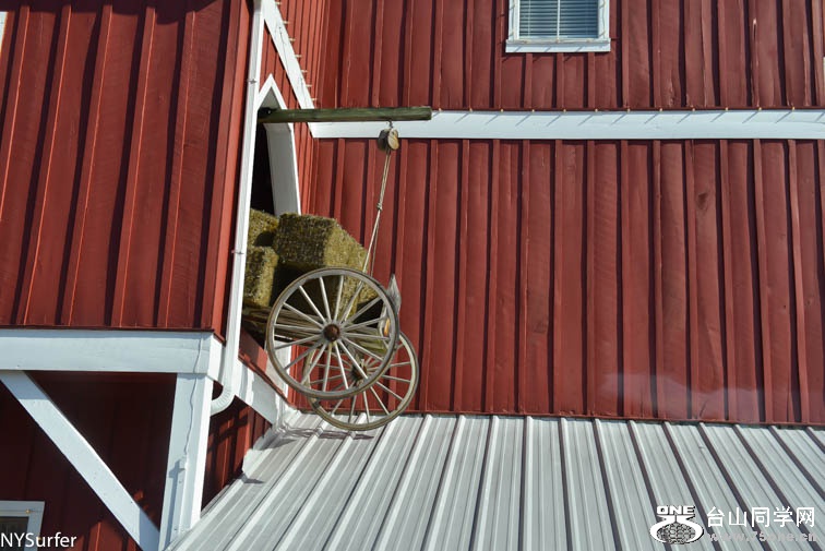 DSC_7699.jpg