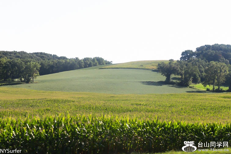 DSC_7419.jpg