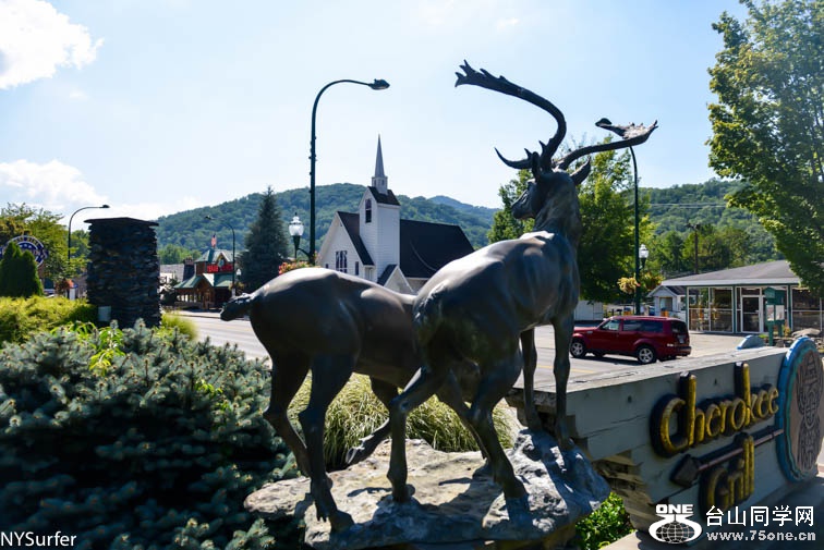 DSC_7674.jpg