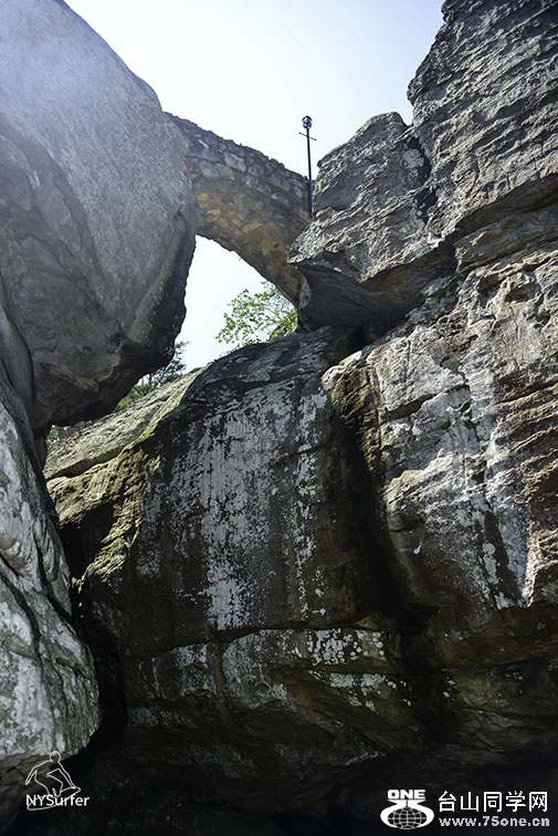 DSC_8268.jpg