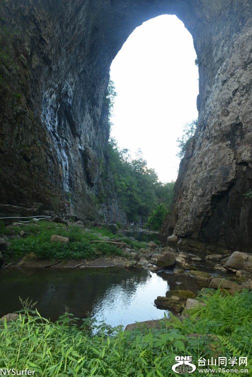 DSC_7243.jpg