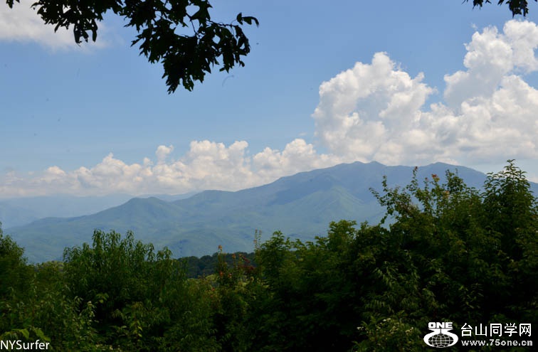 DSC_7468.jpg