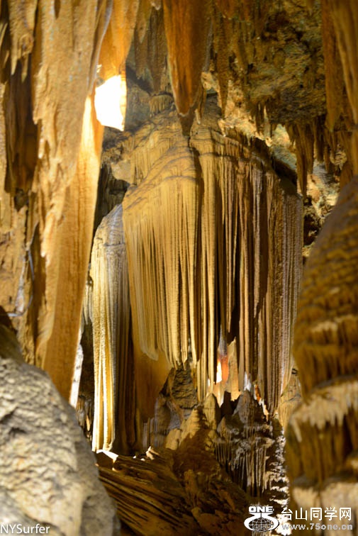 DSC_8440.jpg