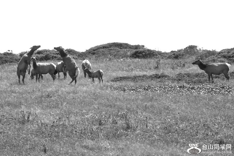 2016_08_28_1010.jpg