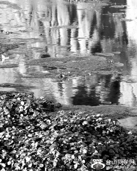 2016_08_28_1013.jpg