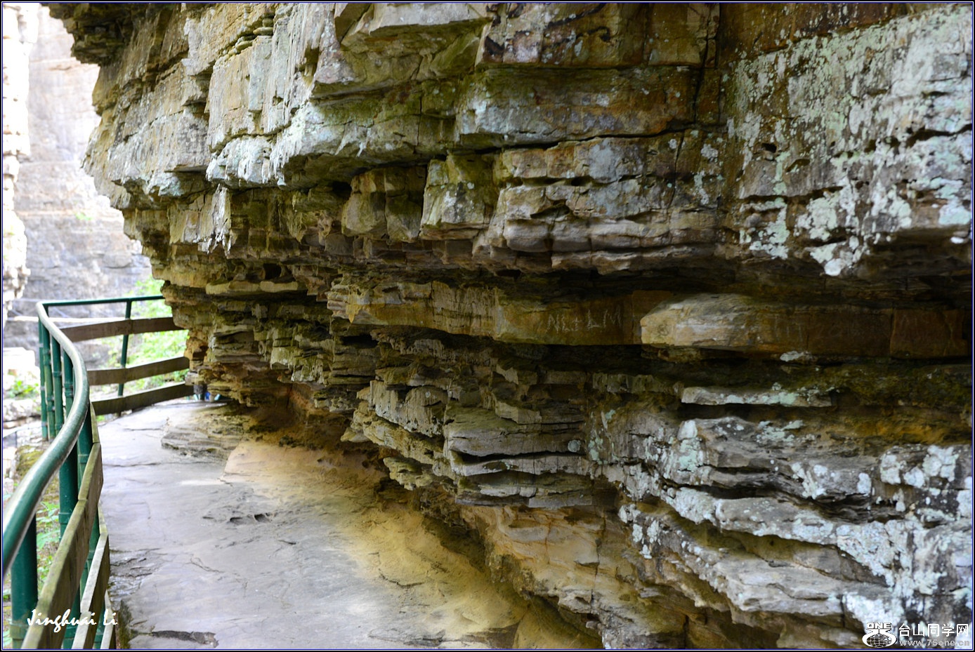 DSC_6394.jpg