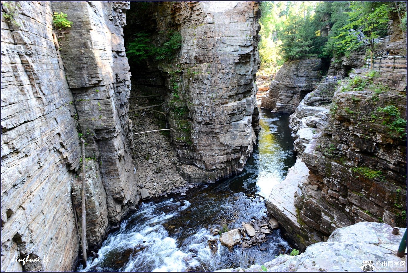 DSC_6333.jpg