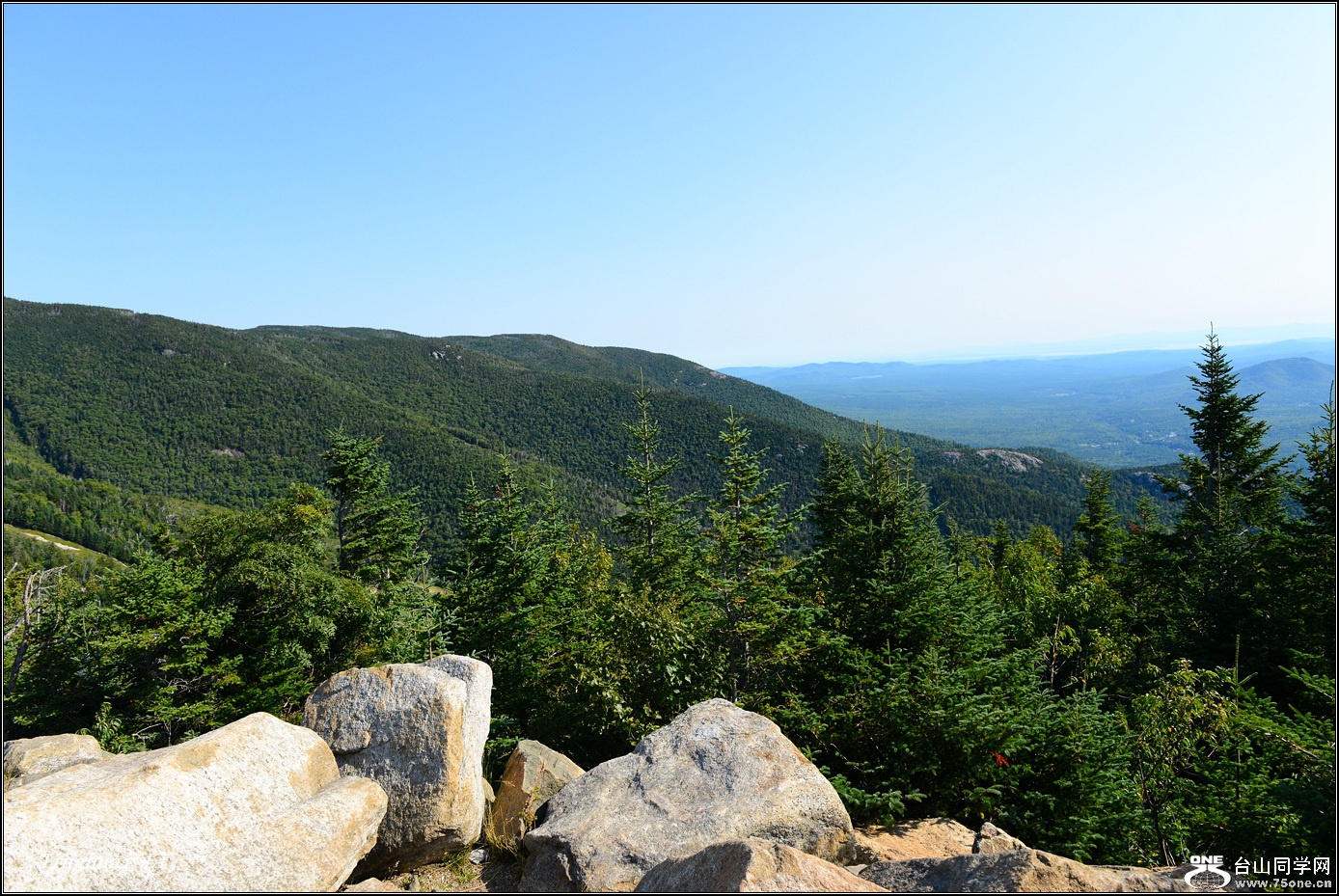 DSC_6875.jpg