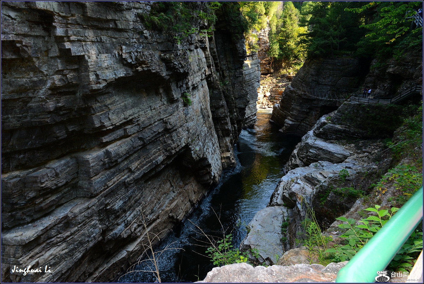 DSC_6309.jpg