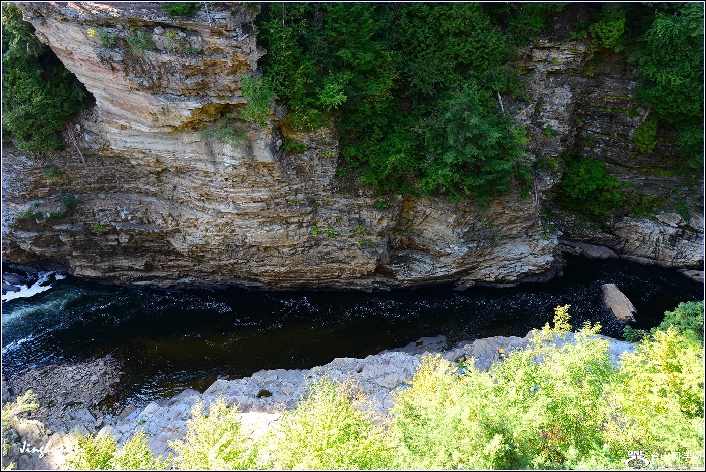 DSC_6213.jpg