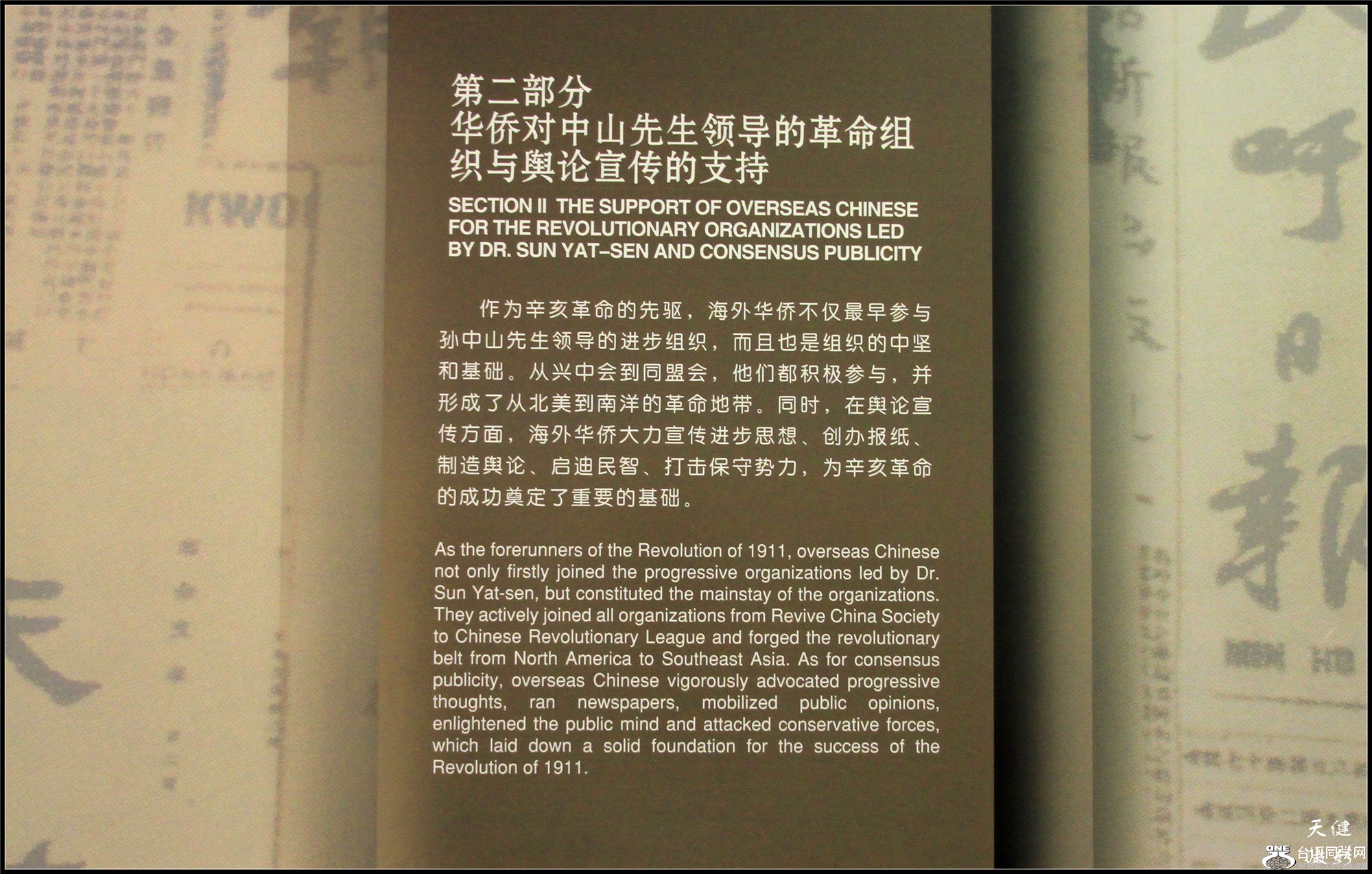 IMGL5839.jpg