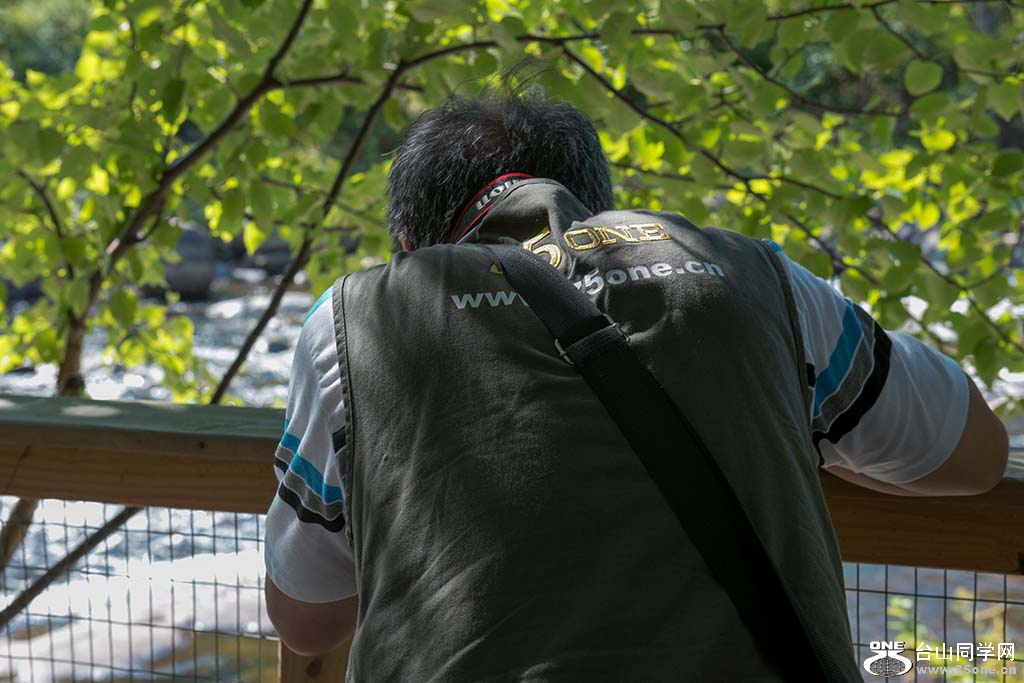 546.jpg