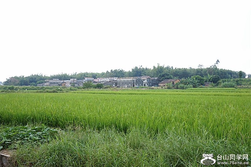DSC07049.JPG