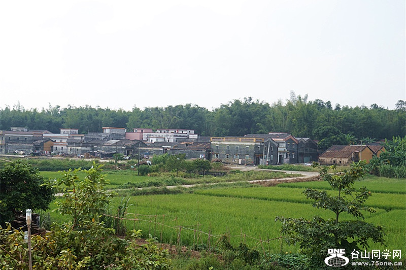 DSC07044.JPG