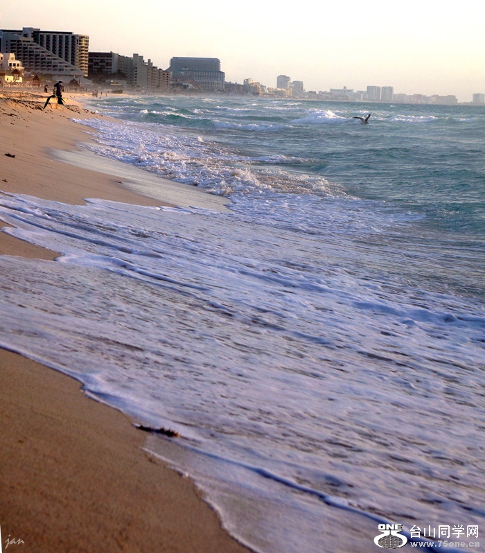 DSC02378_.jpg