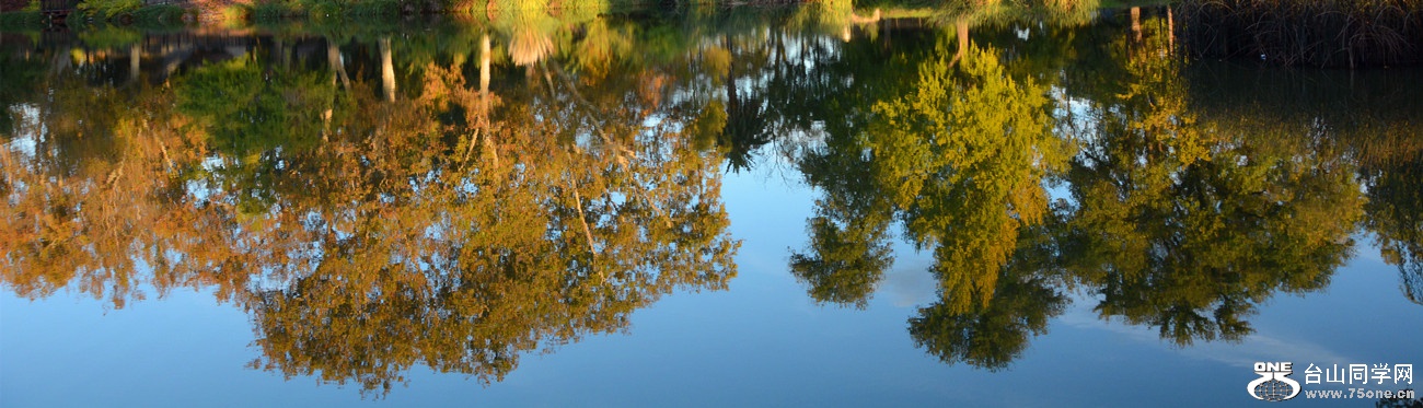 DSC_3451_45.jpg