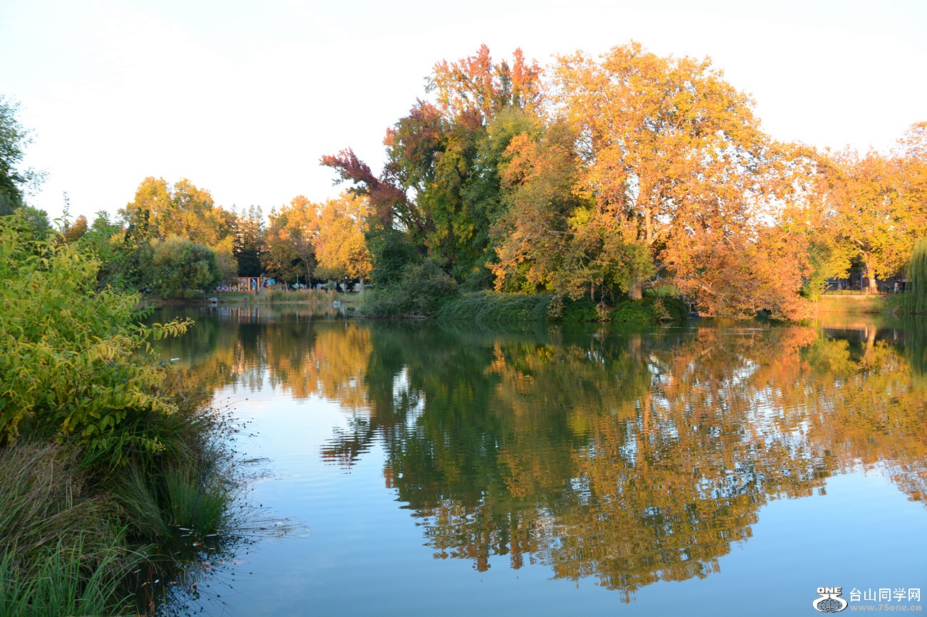 DSC_3493_36.jpg