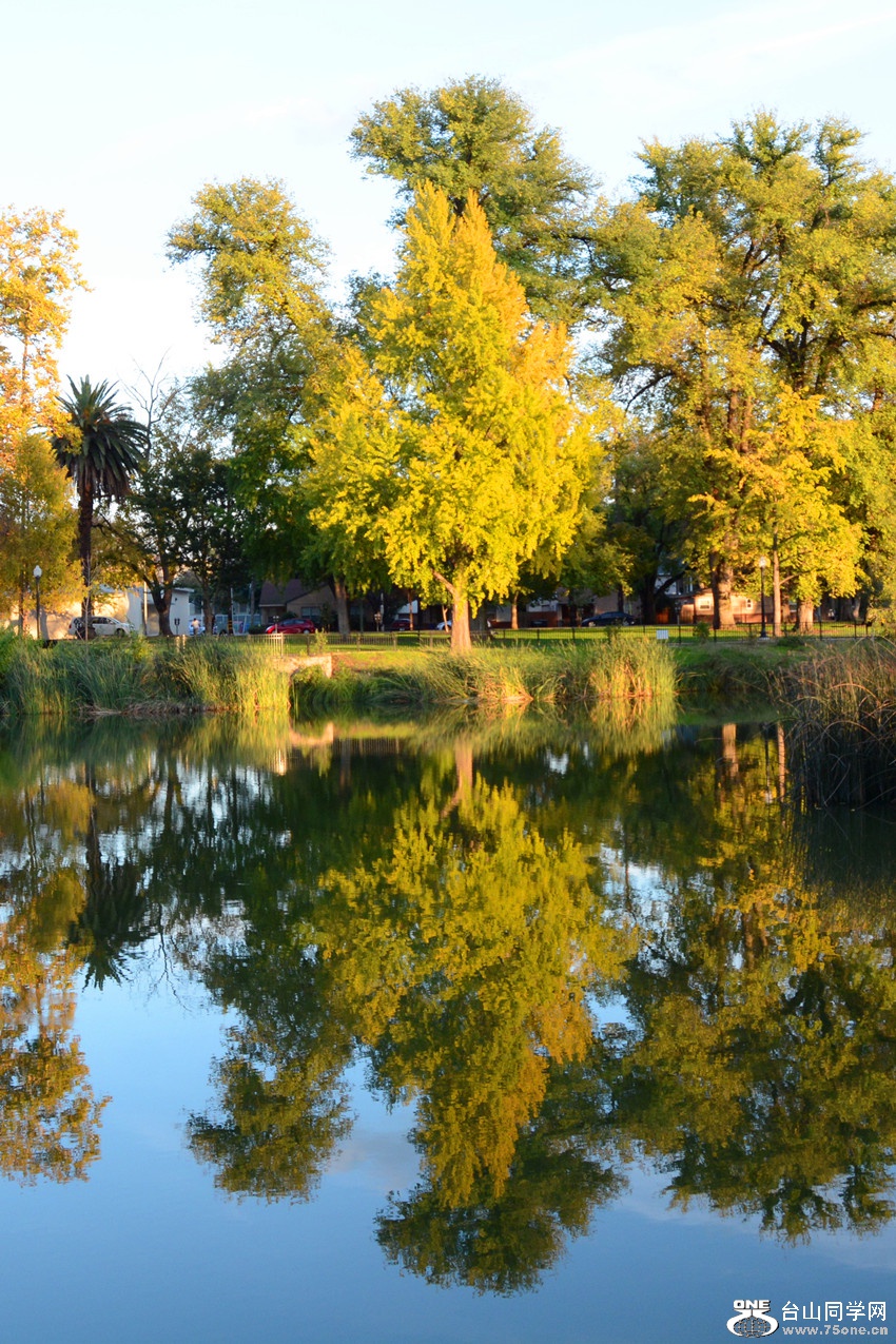 DSC_3448_20.jpg