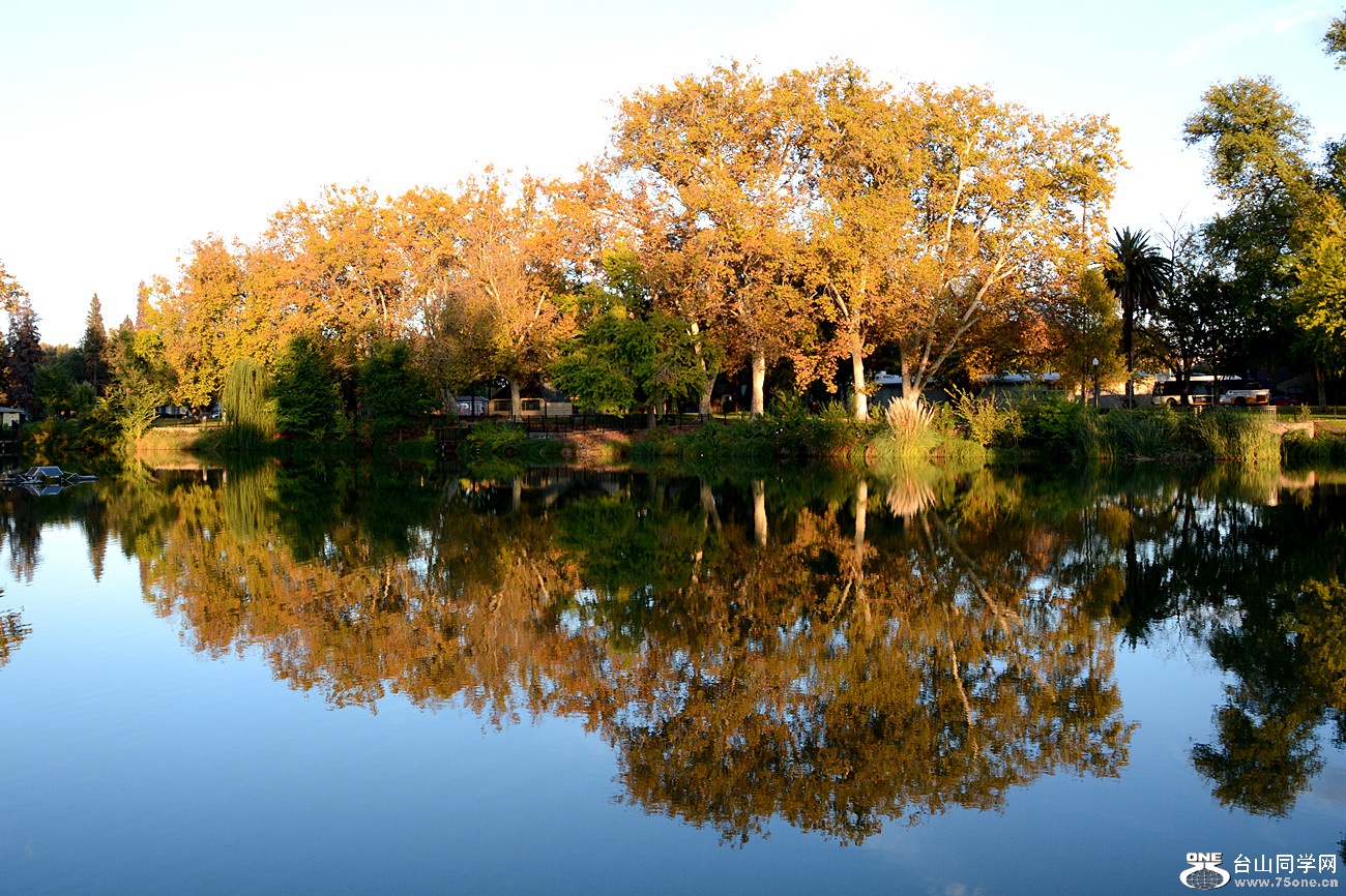 DSC_3444_16.jpg
