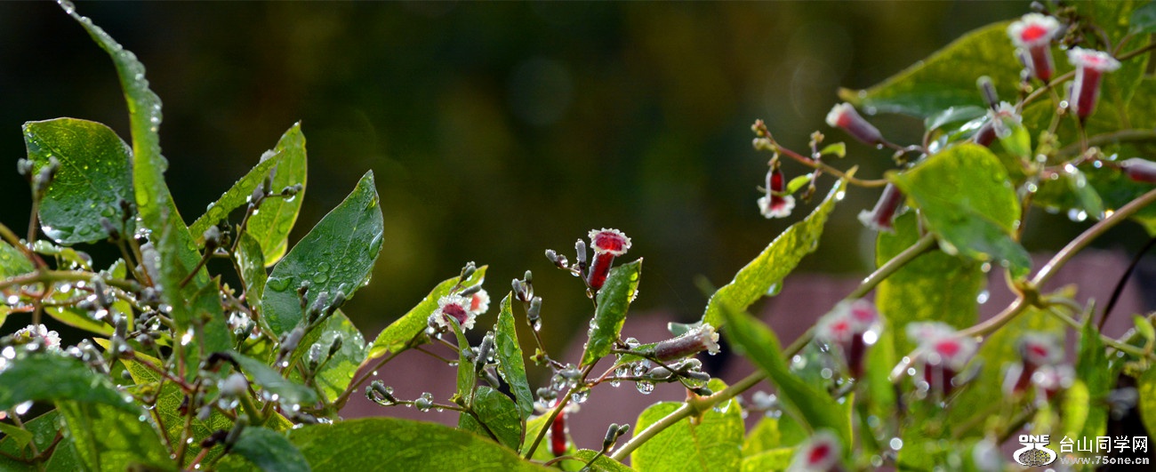 DSC_2751_27.jpg