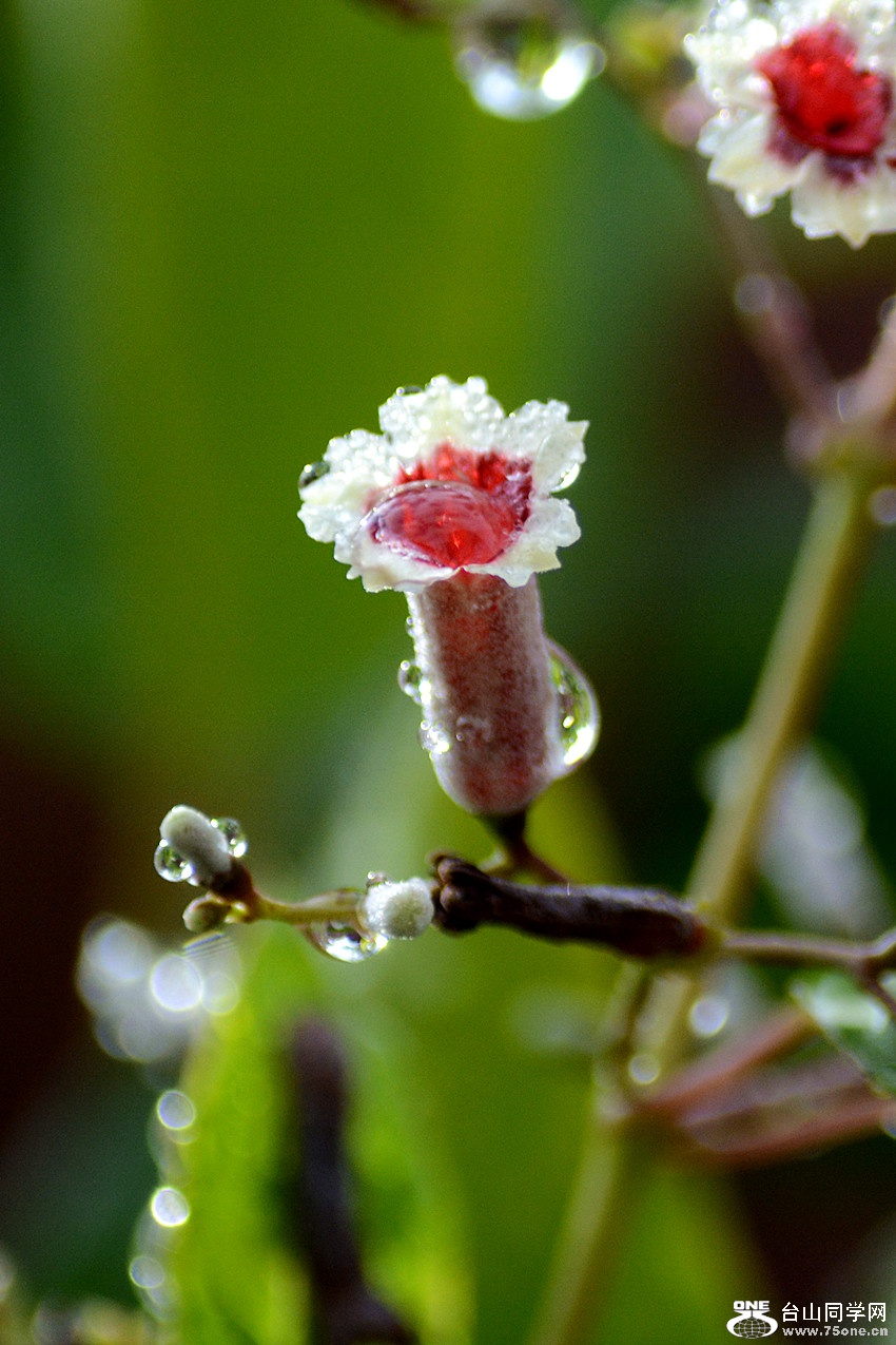 DSC_2643_7.jpg