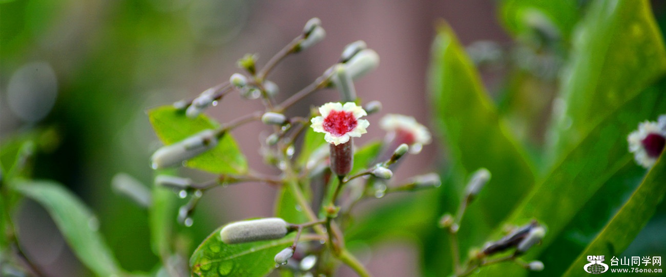 DSC_2823_42.jpg