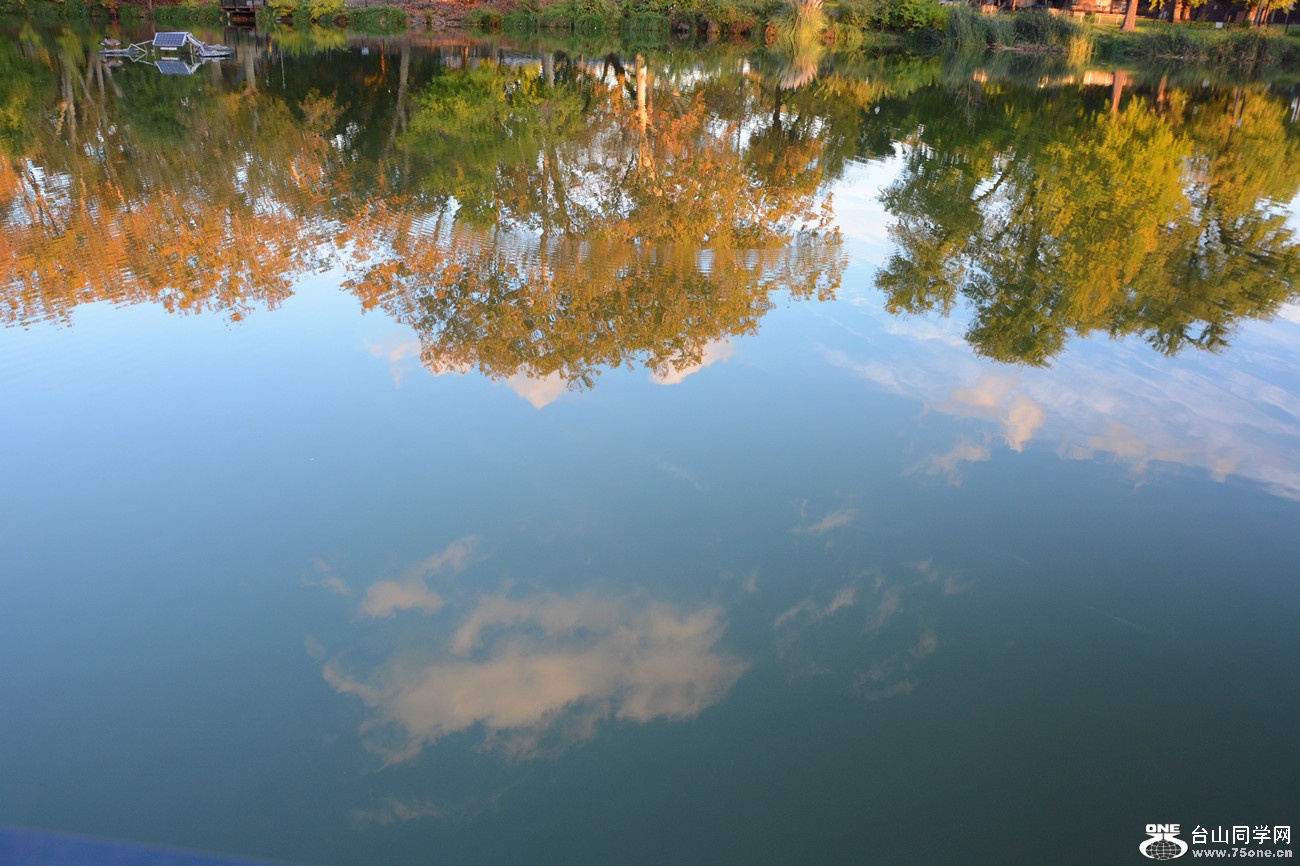 DSC_3522_43.jpg