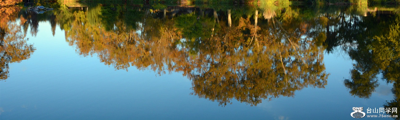 DSC_3444_47.jpg