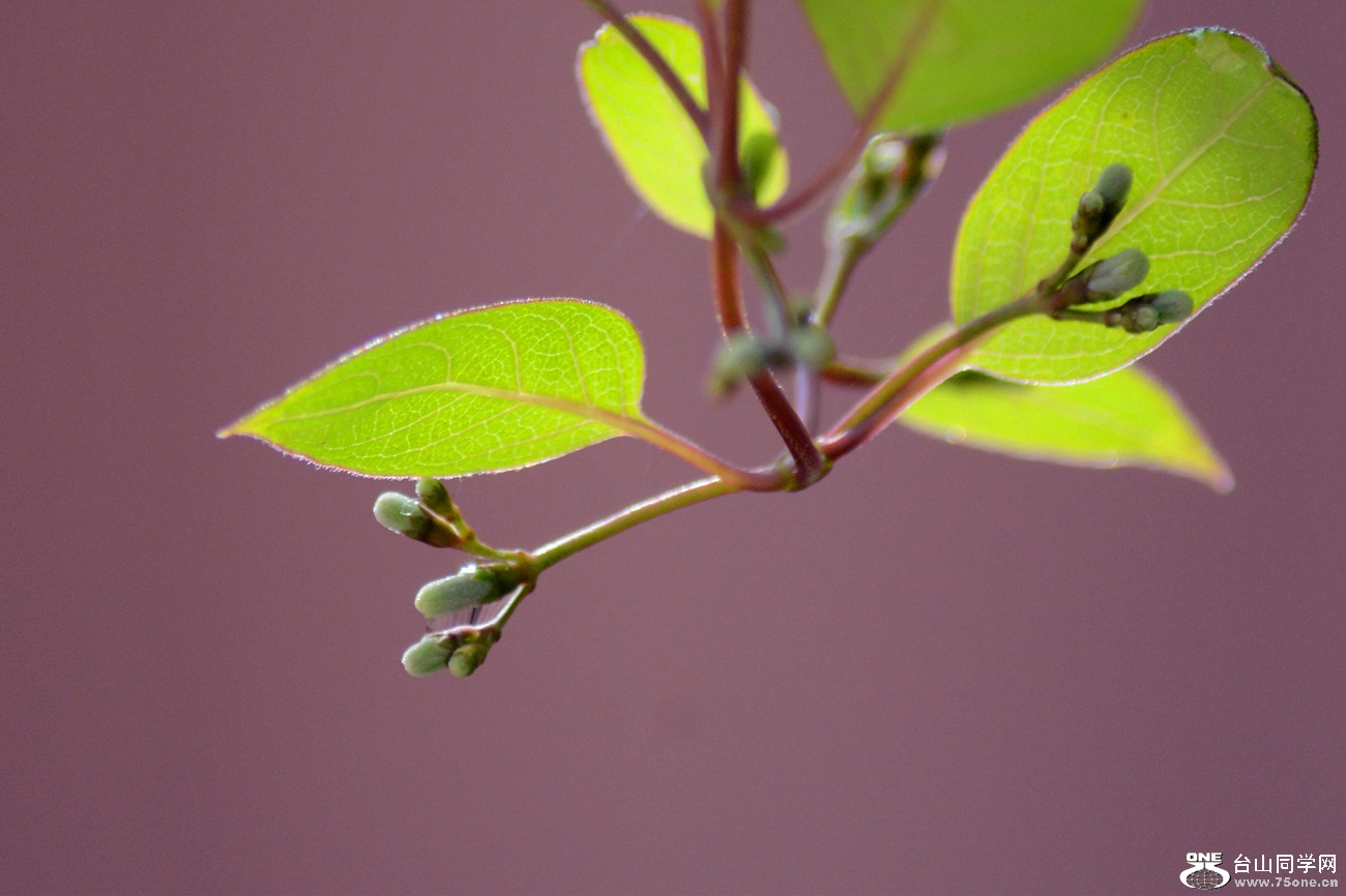 DSC_3050_60.jpg