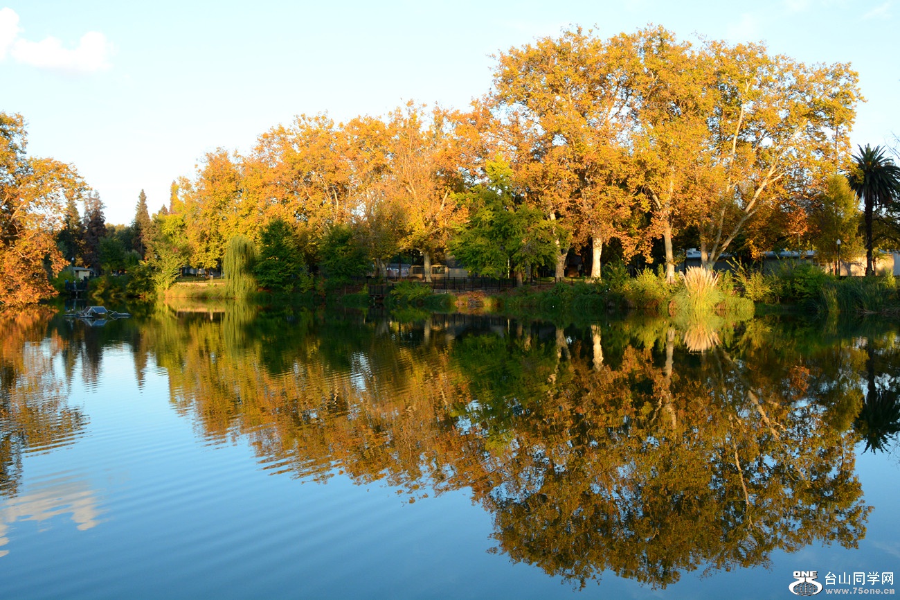 DSC_3414_2.jpg