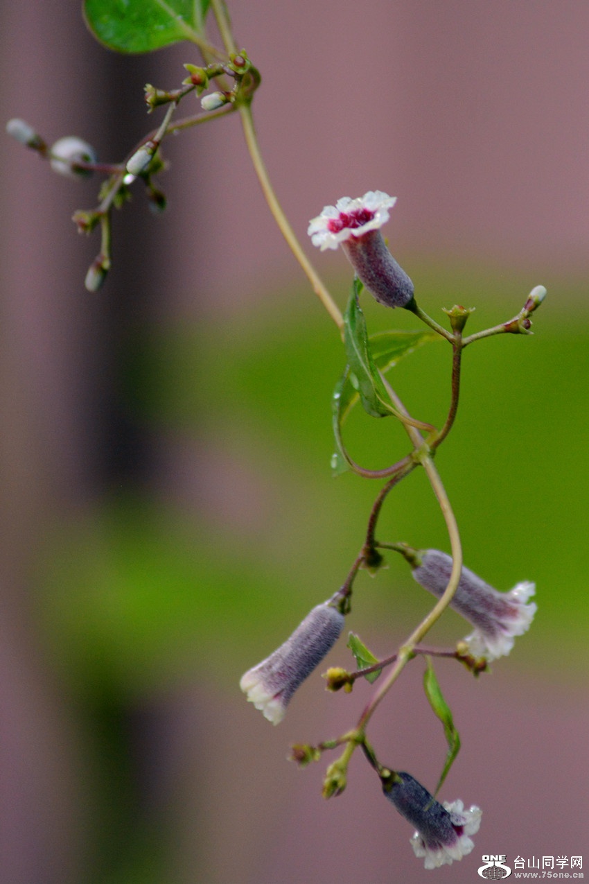 DSC_2819_40.jpg