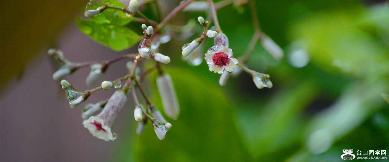 DSC_2676_17.jpg