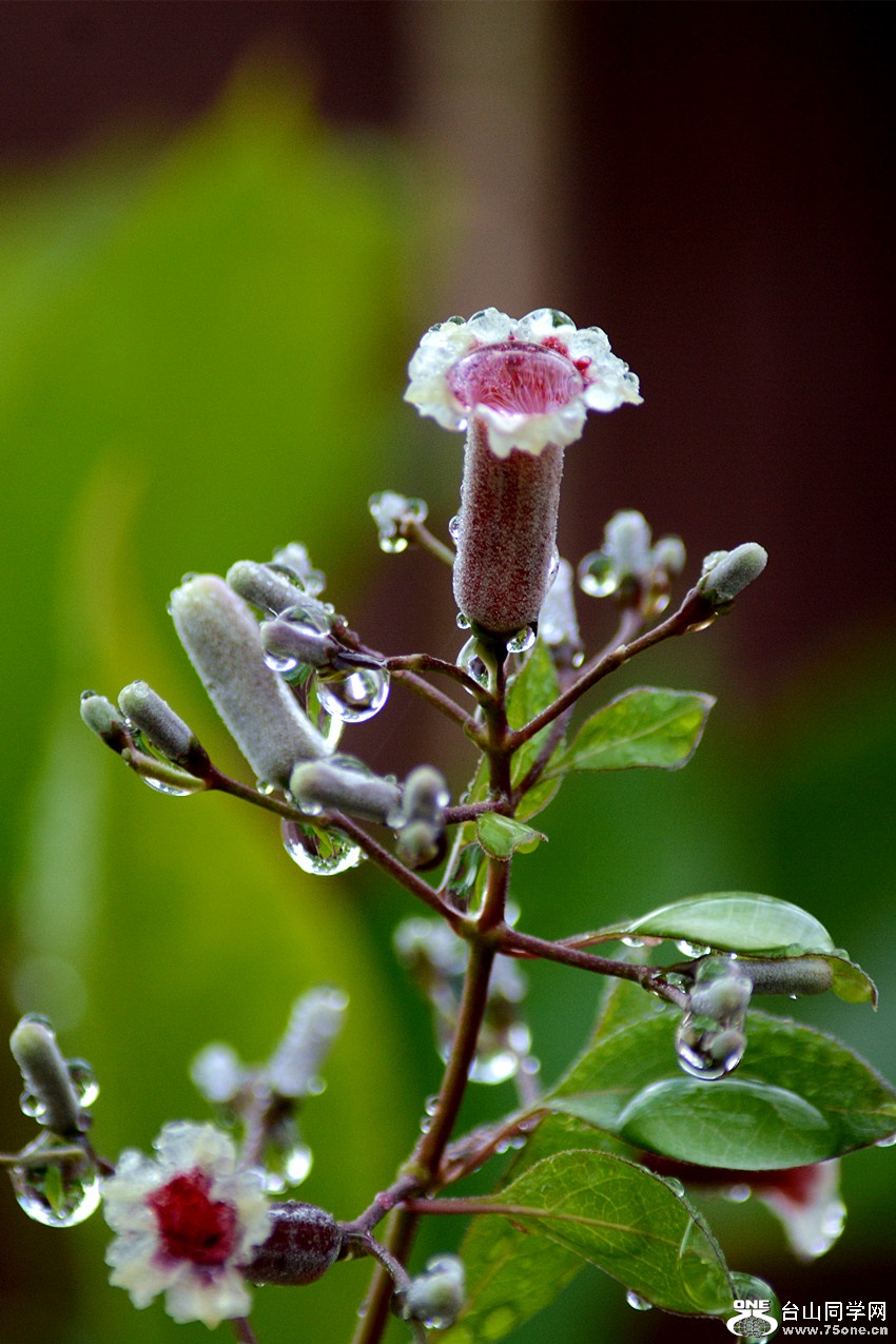 DSC_2601_3.jpg